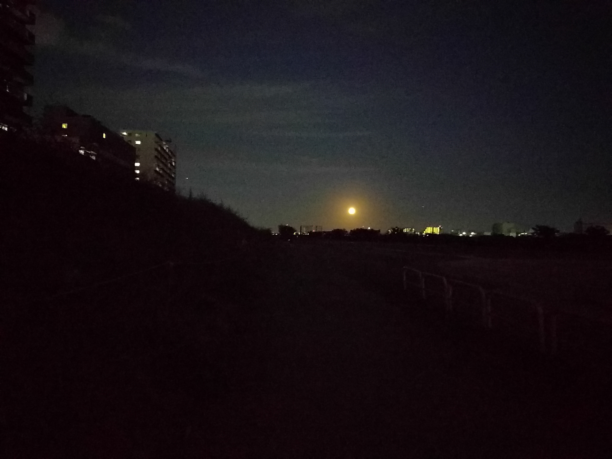  dark night in Zoushiki 