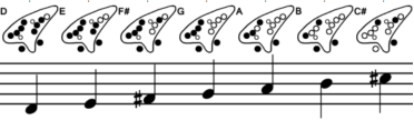  D-Major scale 